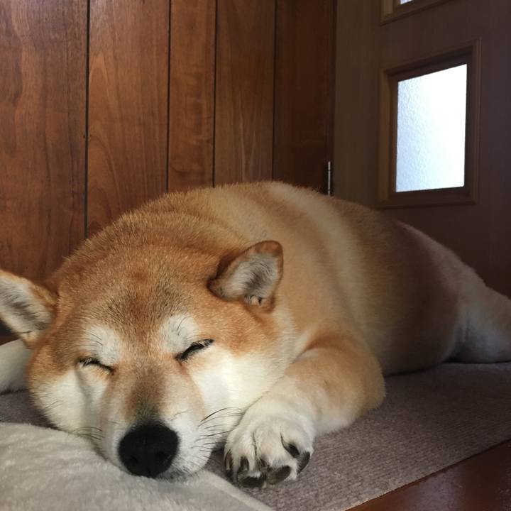 7ef3148a 48ba 4ba6 ad54 5442b613d6df 1574564997306