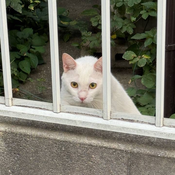 7ef32b09 bf58 4a9c 9e62 97f12b82ab59 1755812808806