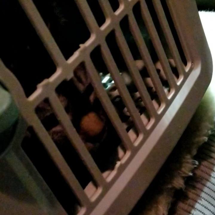 7ef37d78 eb15 4ed2 ac31 7657b2f25420 1675160876356