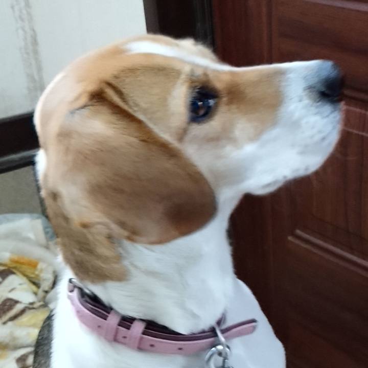 7ef38c4c 1dd0 498a 92b1 fdaa1166229a 1578797135140