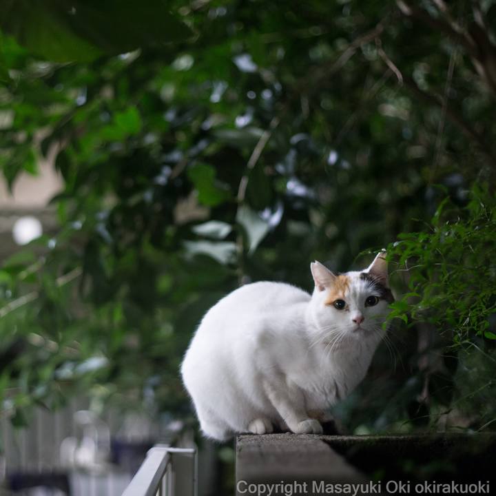 7ef390cc 462d 433b 894a 5d2f9a1e526c 1509068788266