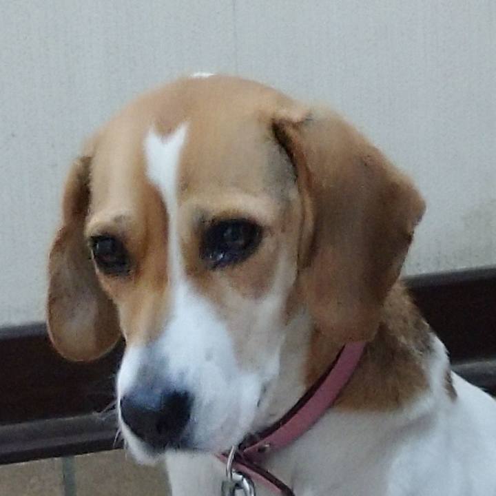 7ef3a6eb 5ec1 466b bf2a 17d8fab0c895 1576638819464