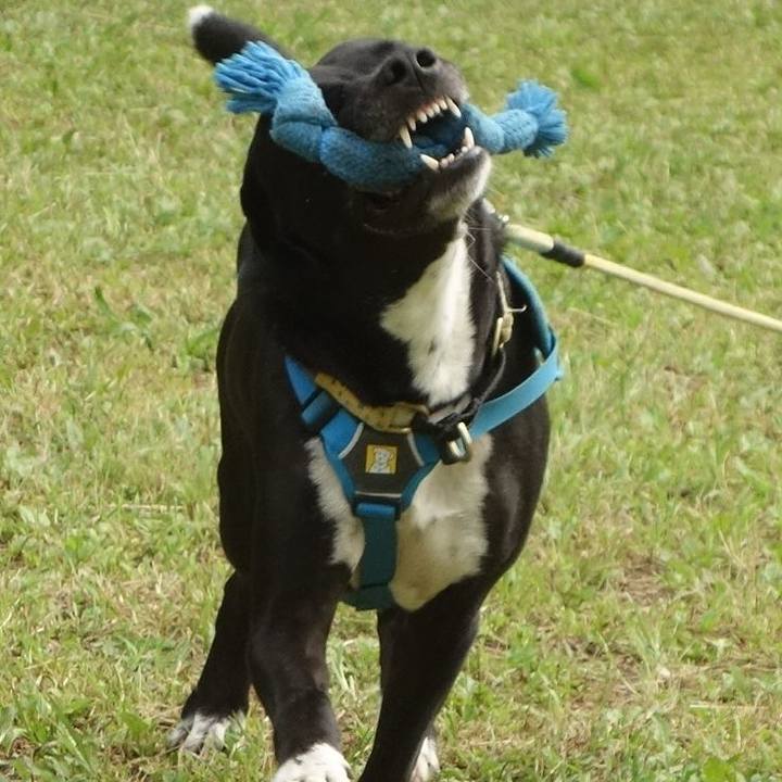 7ef3b20f c2d8 49ca a46f cbce60b8ea85 1623543488180