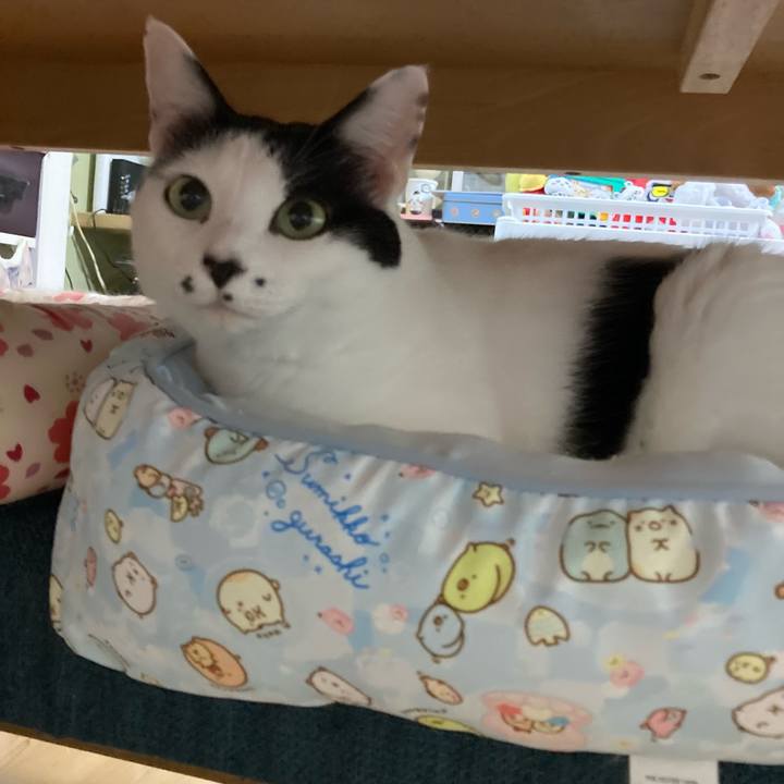 7ef3ba89 7c58 4ee3 91b8 d91b3cdadb7e 1758364794830