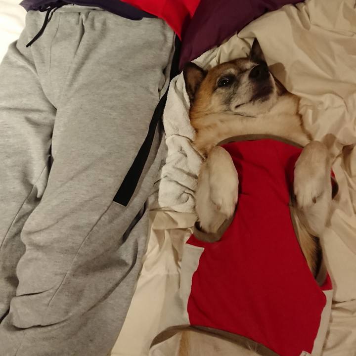 7ef3dd87 9f7e 45fc 8ea4 650bbe15b2b4 1541426023066