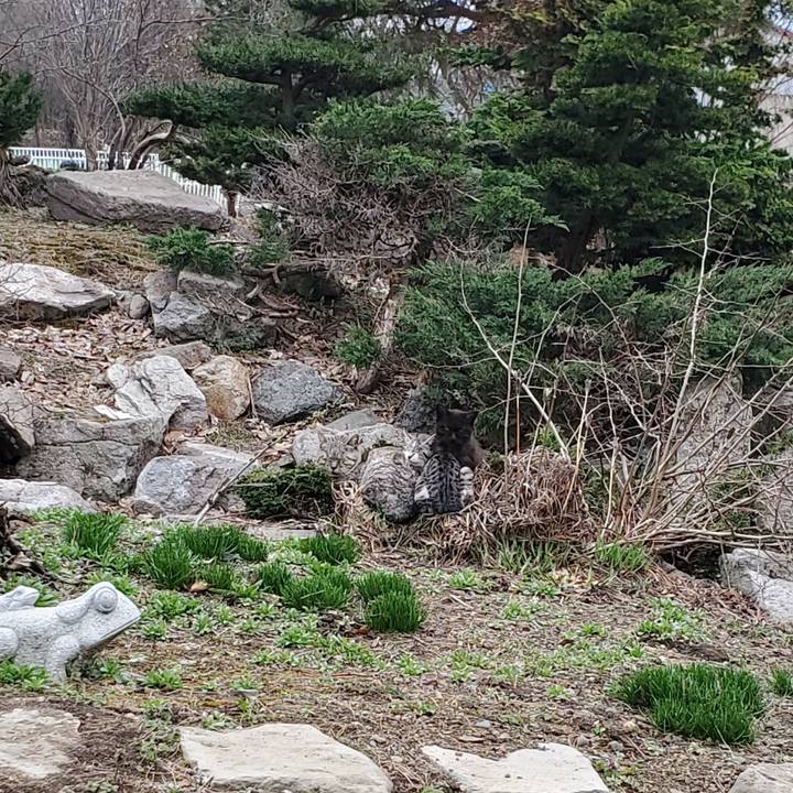 7ef41abb 63d8 49fa a458 3efceefb1e91 1714553914571