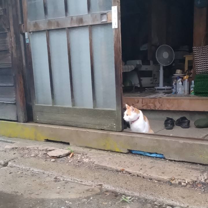 7ef423f1 1922 4a46 baf9 060ba2927c2f 1754436684788