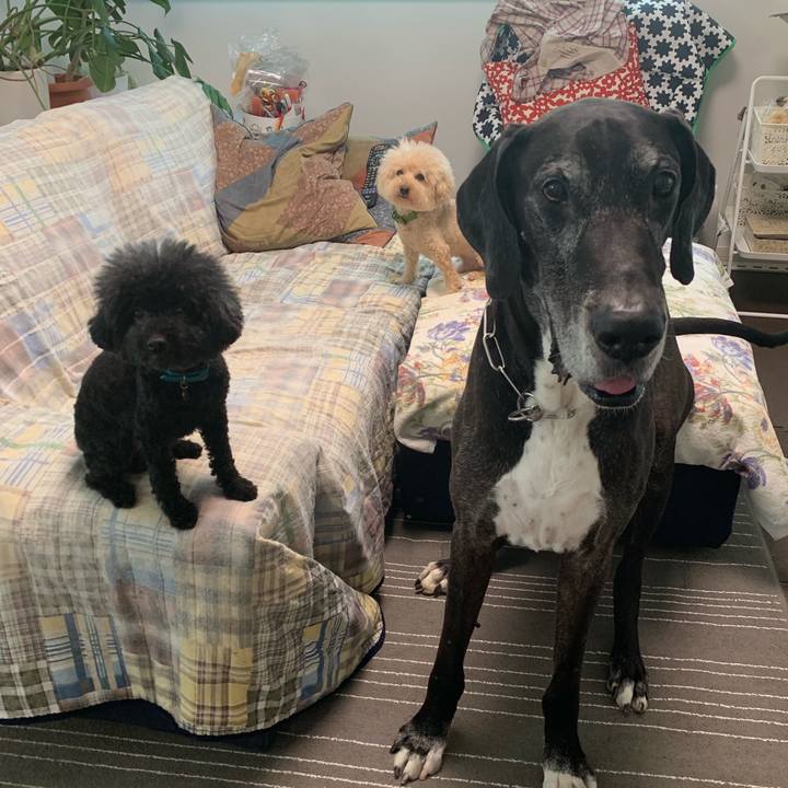 7ef44226 3a7a 4fd6 8150 b45e715ec541 1561501599939