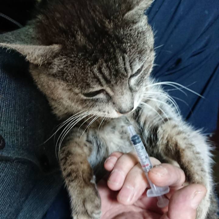 7ef480fd 6311 4e11 b817 b6cbbeb38fb9 1583358985767