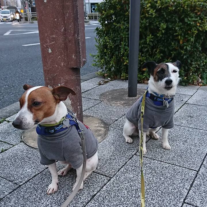 7ef4e6b6 4bea 4153 aa7f 3dddbeb37d3f 1579904624138