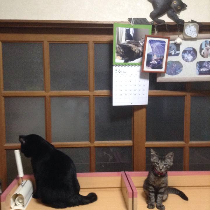 7ef4fb32 f57b 4f58 af64 9a58f28b7d6e 1530178730918