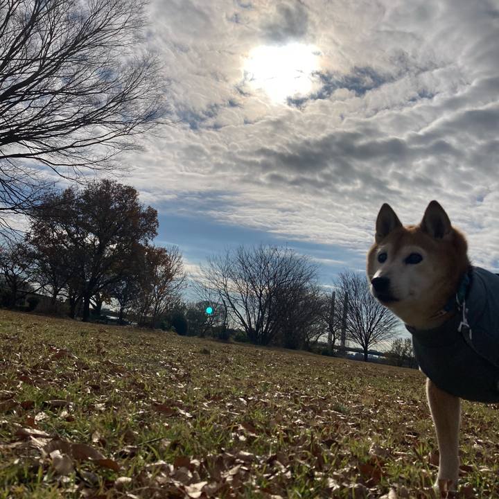 7ef5011f 1bf3 420e b484 981d5ec0b363 1765861547743