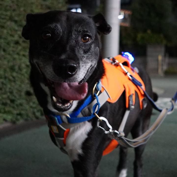 7ef5398b 7ed9 4b79 b930 6aad3783969e 1757415231415