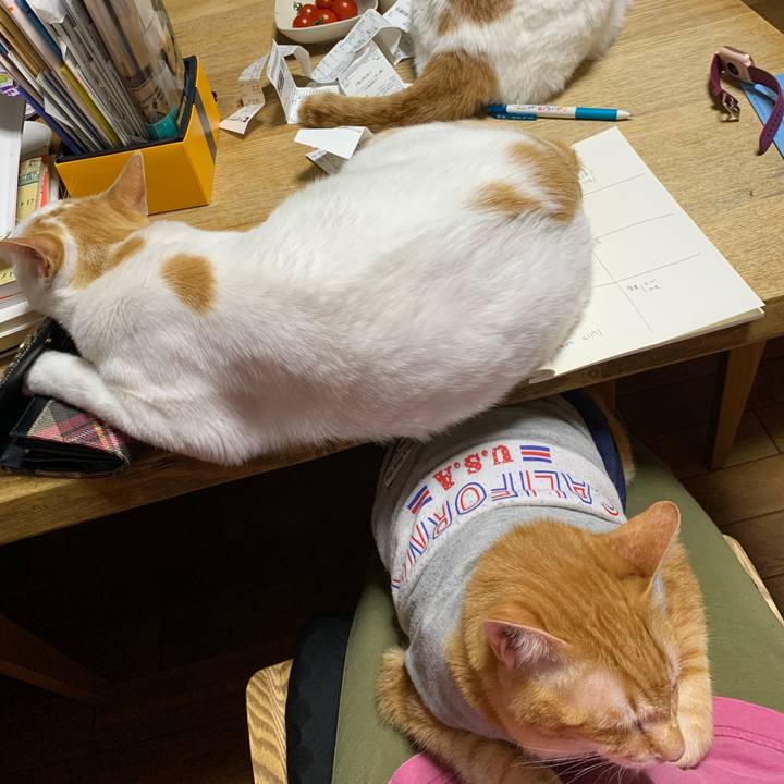 7ef56fdd 745d 49b9 923e ffe639868f92 1618585917028