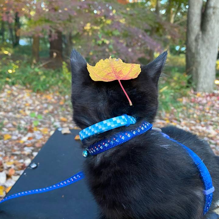 7ef57911 ef74 4c03 a3fb 9e155723910a 1637307728851