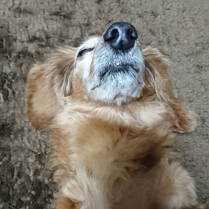 7ef59cad 89bf 4f99 8189 ccc679fde93c 1515518599741