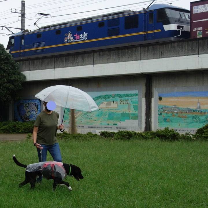 7ef5f52d f1db 456e 8d11 2c8fdb7a5b10 1631144350273