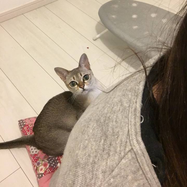 7ef649dd 2e4e 40f9 b5b3 2ee252893d5e 1513428950535