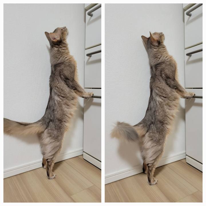 7ef65f01 f242 4071 8ddf 34dcadba44d8 1647610485193