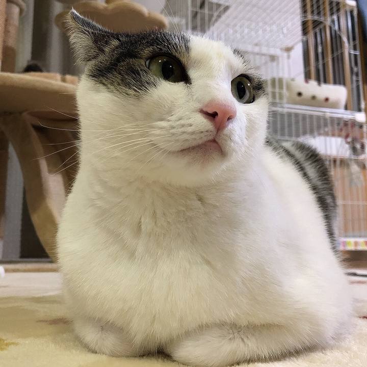 7ef6757c d3e5 44a9 b0b9 0fe4f18472bc 1671629608035