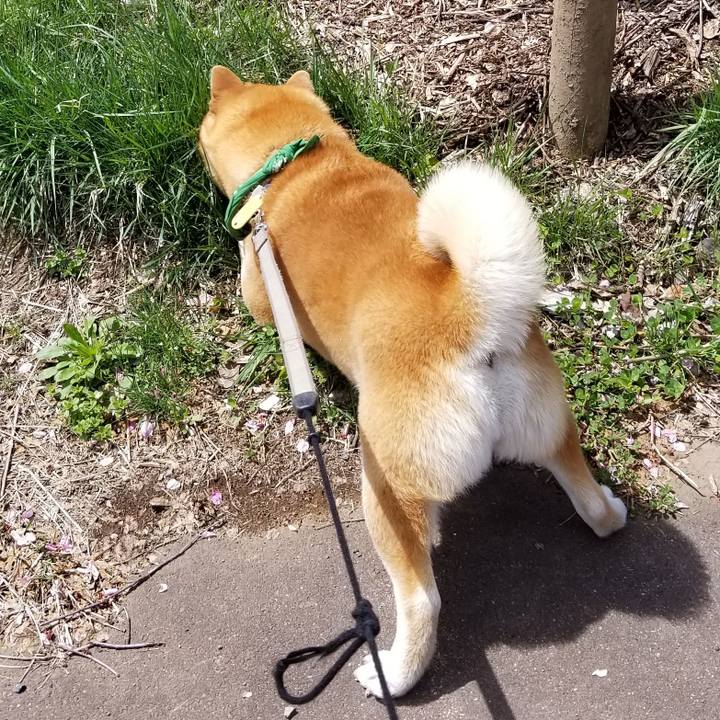 7ef69b9b c4c2 4784 88f3 9047dc6186de 1556849590100