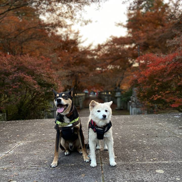 7ef6f8f2 40ef 4790 aeb8 99fa5ba99e11 1700877961159