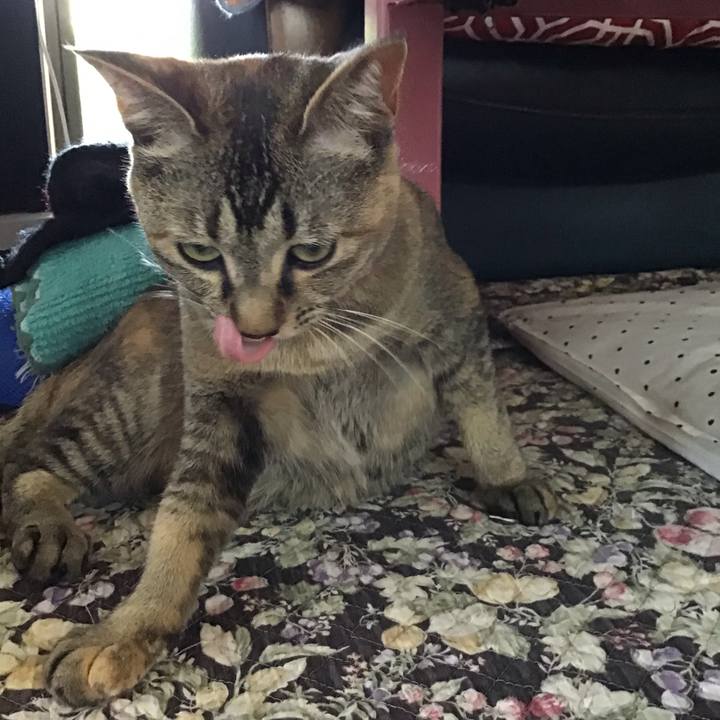 7ef719cf 45f8 450f 8073 35c047ca98ca 1591756811033