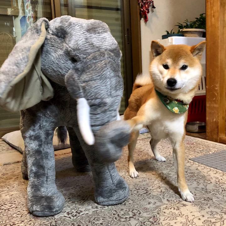 7ef7919e 20c0 488f bba4 cb258e1548df 1525873514951