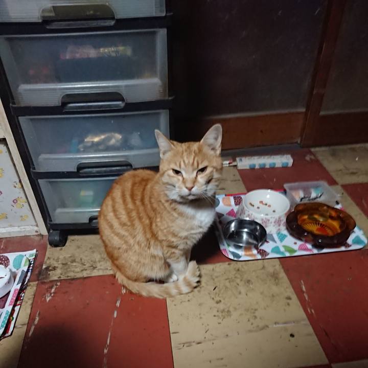 7ef8193e bfd1 4885 95ea 2b428955e5fe 1587067251752