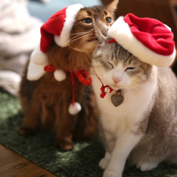 7ef83a02 6f21 4717 a29b df9aa86ade7c 1671844762876