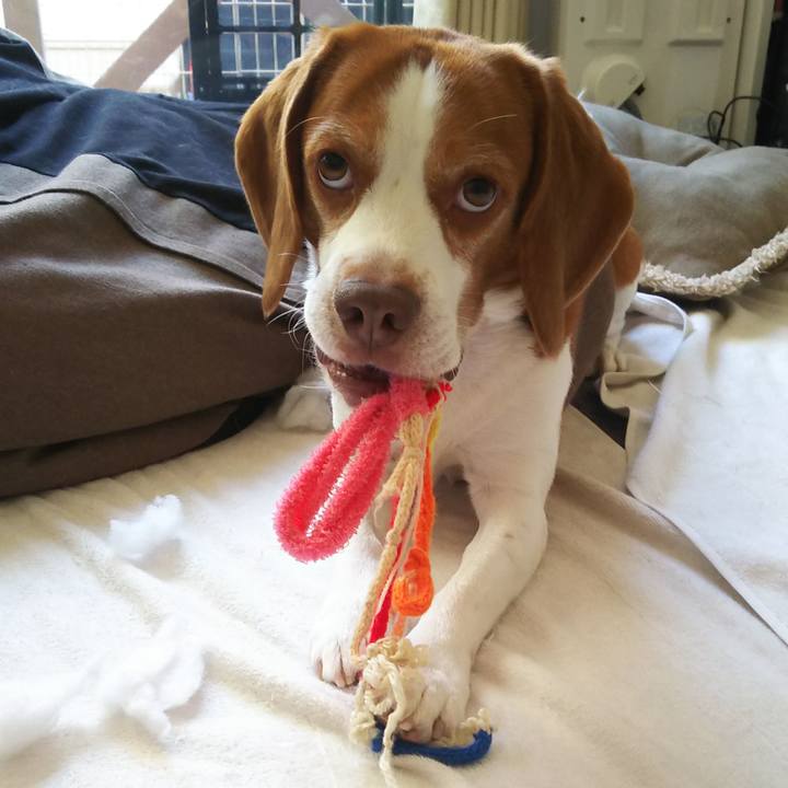 7ef855ec 72e1 4af7 9b79 ad640e193aff 1604471018413