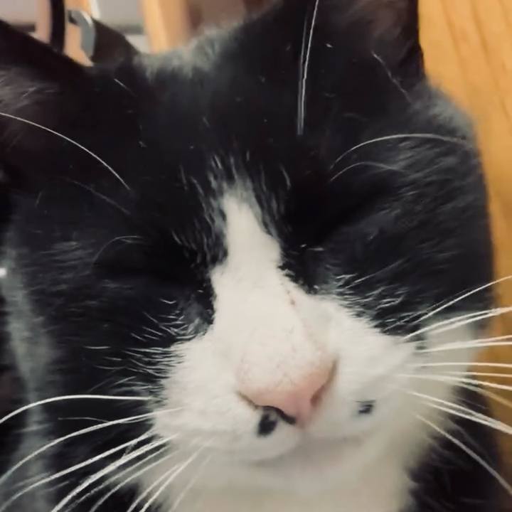 7ef8a52f bdc8 4121 a20c 92d36076c33a 1768908250280