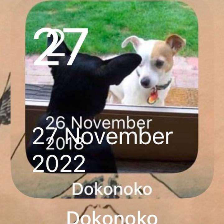 7ef8d55d 9e33 43ba 8302 26bbb13d8e0b 1764337647513