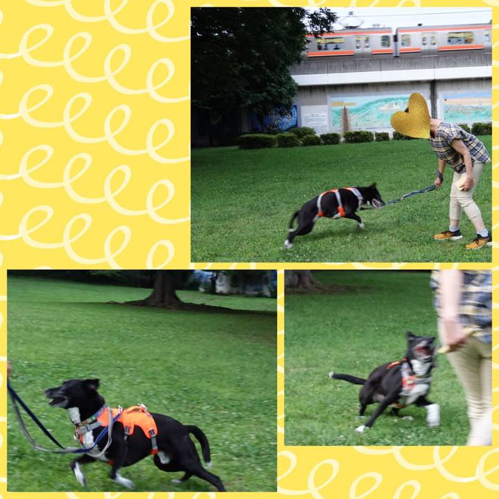 7ef8e095 b856 4740 873f 00e005be95d3 1719400694793