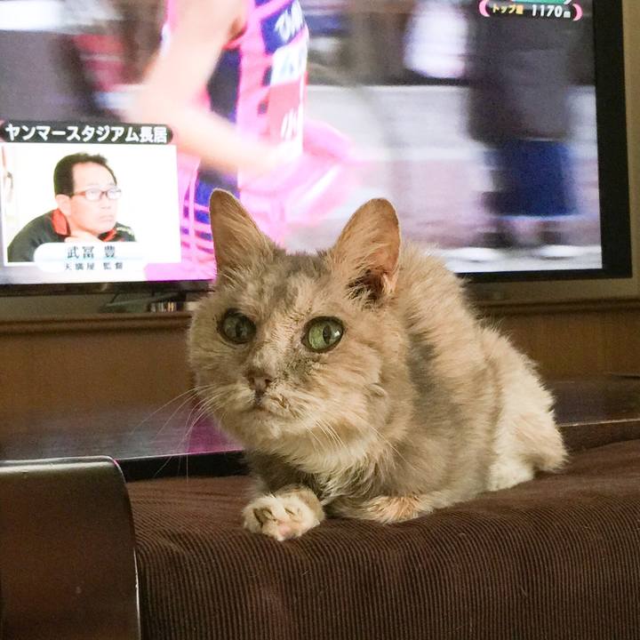 7ef8f143 13be 45f9 a9d3 0646c9442cf3 1580015714509