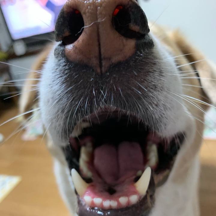 7ef8f1bb d32a 4ee3 bce3 e9683665170b 1561372943436