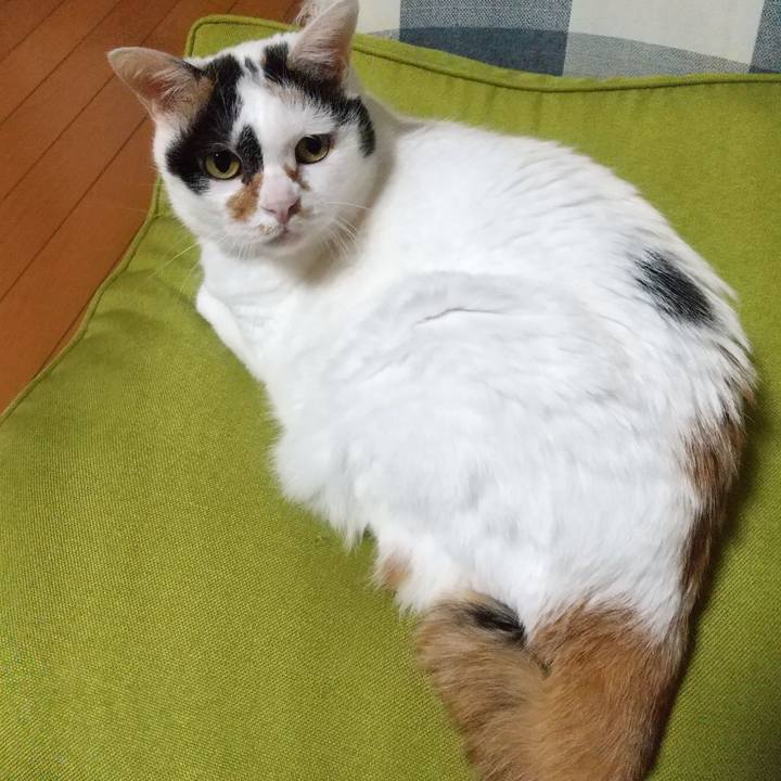 7ef9033f 29bf 4f5f 90bf 7e4f8e3b490e 1665313191905