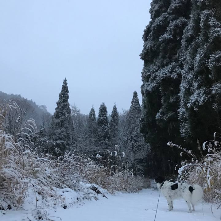 7ef9299c cee6 4494 92ae 0b666447bee4 1515129729735