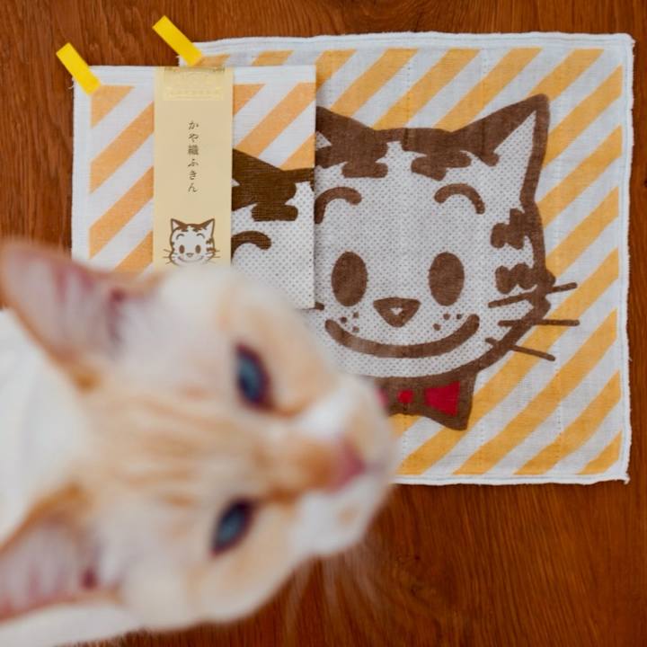 7ef93a5d 4409 4787 b440 7969bcc10255 1769668644132