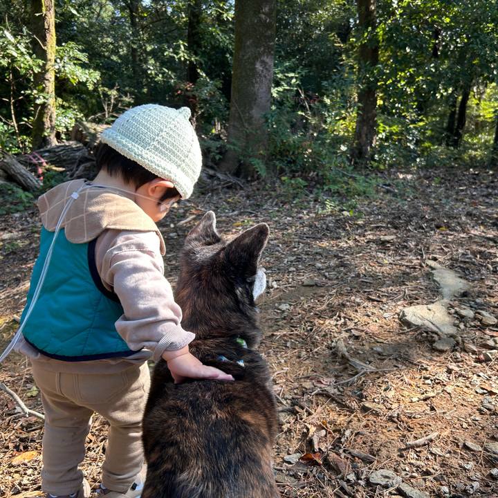 7ef94712 545b 4ea7 8ddc 7ed024a88991 1764284677651