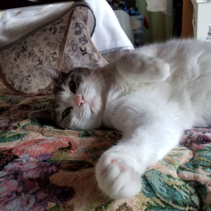 7ef95557 e283 4fb3 b185 41f1d237086b 1625119824663