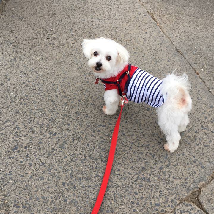 7ef977be f555 4a1d afcb 136fe0f918cb 1597477732627