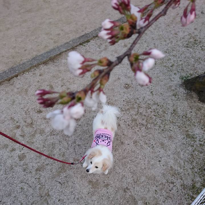 7ef97cca a7e8 4e7d ad18 18894f765759 1522533605834