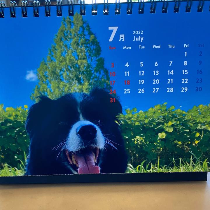 7ef97d87 95b5 40a0 894e d31770708308 1656621528919