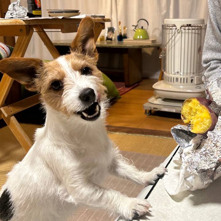 7ef9b557 56fc 45b5 9842 7b7286c17ccf 1772537126953