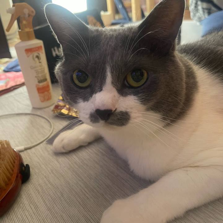 7ef9bac8 0824 4bab be1b cd9ba8e685a4 1752366941141