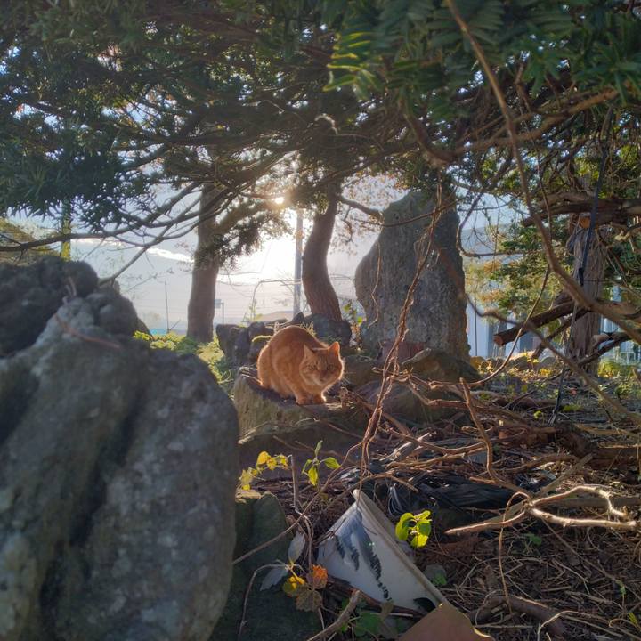 7ef9e4a8 6653 4d35 95da 3e088971e9f6 1667689501477