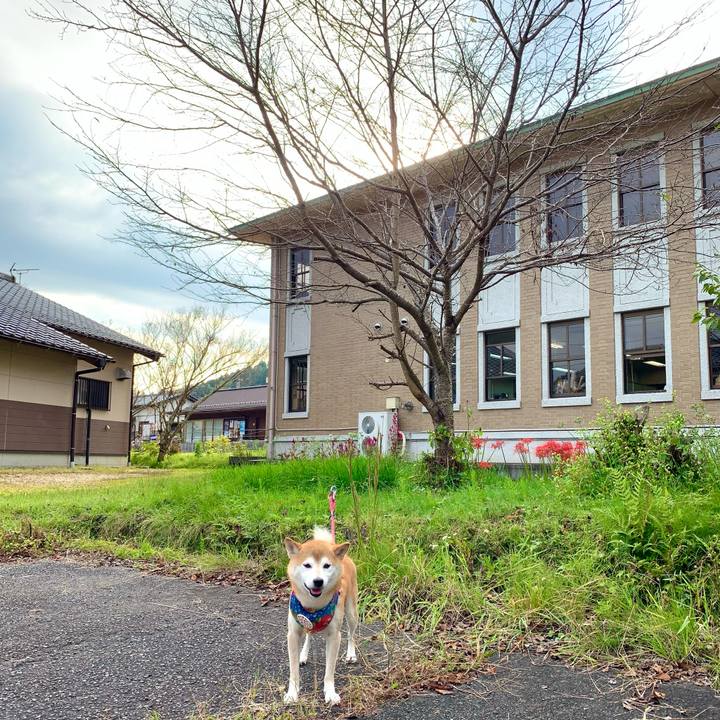 7efa1269 9c6e 40eb b96f fcb58b94054e 1632816970664