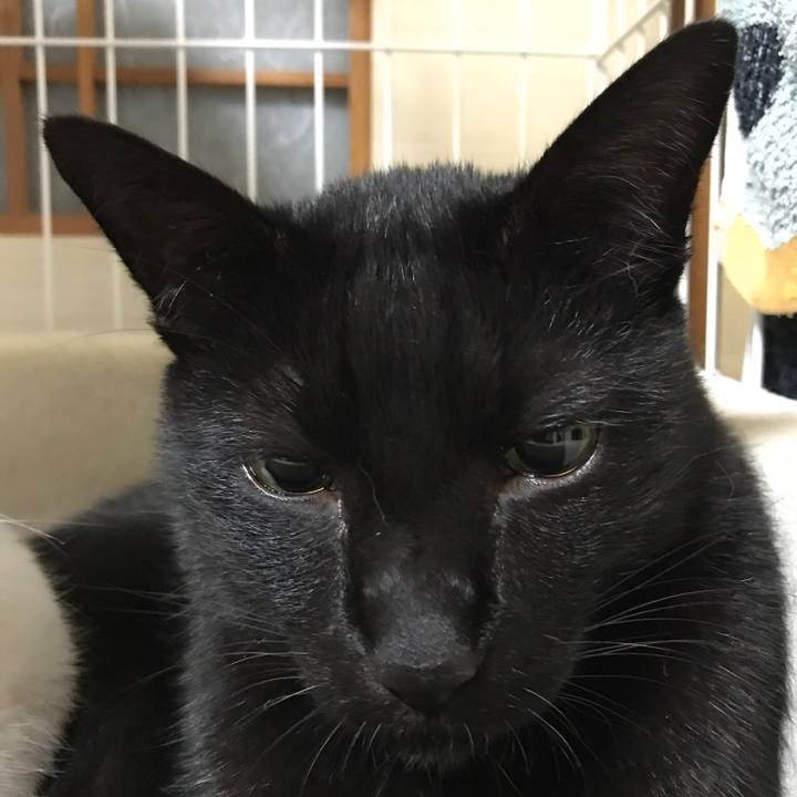 7efa513a cee8 480c bb1c 109a4e6d45ff 1508635838178