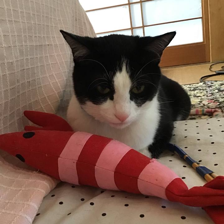 7efa5b99 b90c 489c 87c2 11a32e08aa06 1683009070287